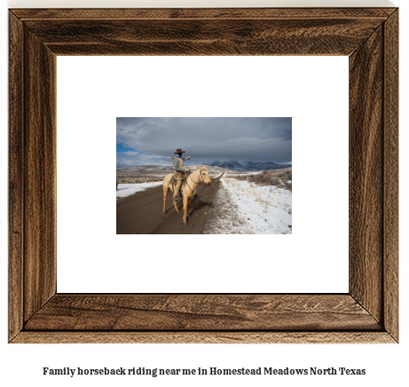 family horseback riding near me in Homestead Meadows North, Texas